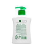 Dettol 0% Fragrance Alcohol Antibacterial Hand Wash 200 ml