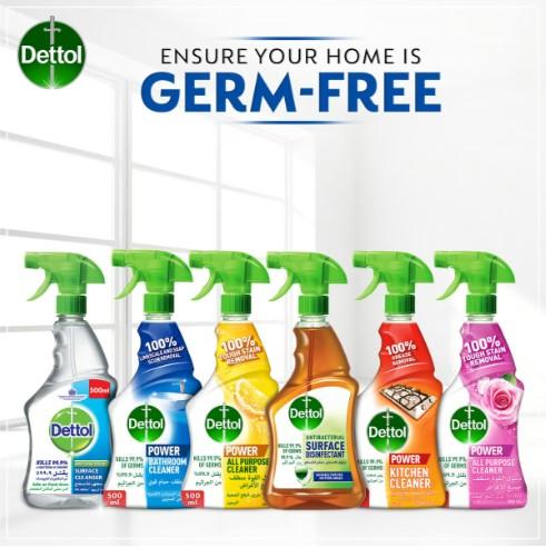 Dettol Antibacterial Mould & Mildew Remover 500 ml
