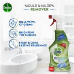 Dettol Antibacterial Mould & Mildew Remover 500 ml