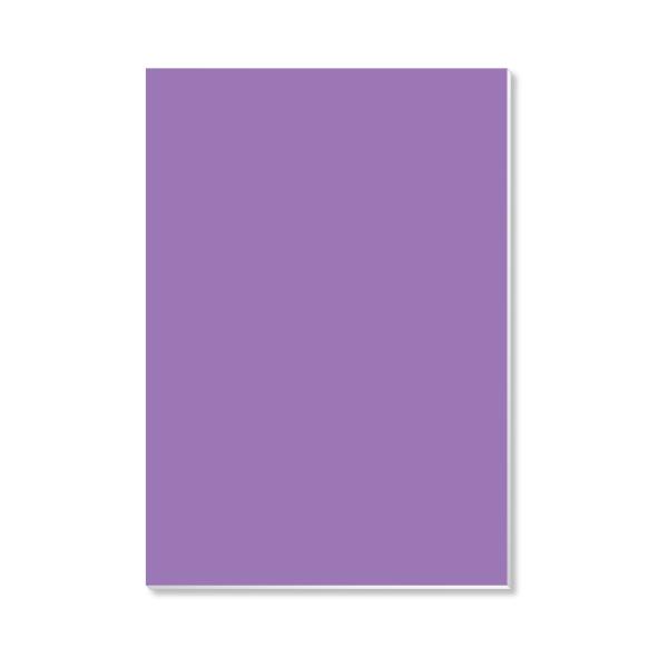 Foamboard 50x70x0.5cm VT PAK=5 EA