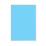 Foamboard 70x100x0.5cm BEL