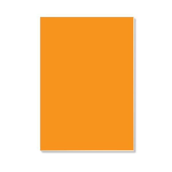 Foamboard 70x100x0.5cm OE