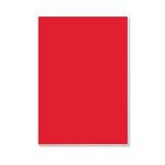 Foamboard 70x100x0.5cm RD