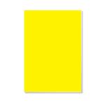 Foamboard 70x100x0.5cm YW