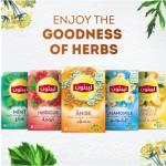 Lipton Anise Herbal Infusion Tea 20 Teabags