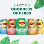 Lipton Mint Herbal Infusion Tea 20 Teabags