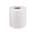 6 Pieces Soft n Cool Paper Maxi Roll Embossed Perforated 900 Gram 2 Ply Green Poly