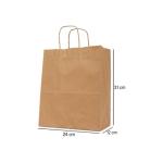 250 Pieces Twisted Handle Kraft Brown Paper Bag