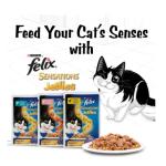 Purina Felix Sensations Jellies With Chicken & Spinach Flavors 12 x 85 g