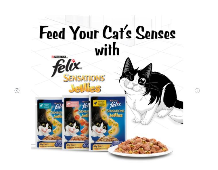 Purina Felix Sensations Jellies With Chicken & Spinach Flavors 12 x 85 g