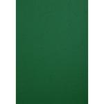 Cover Leath A4 Pk=100 Verd BE