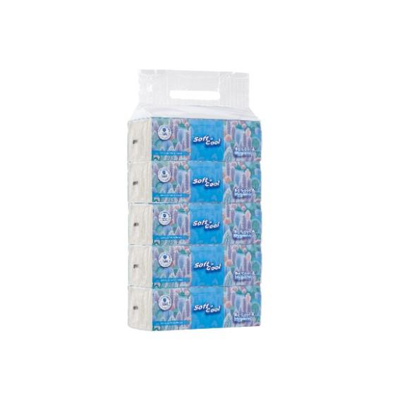 Soft n Cool Facial Tissue Nylon Pack 200 Sheets x 2 ply 5X6